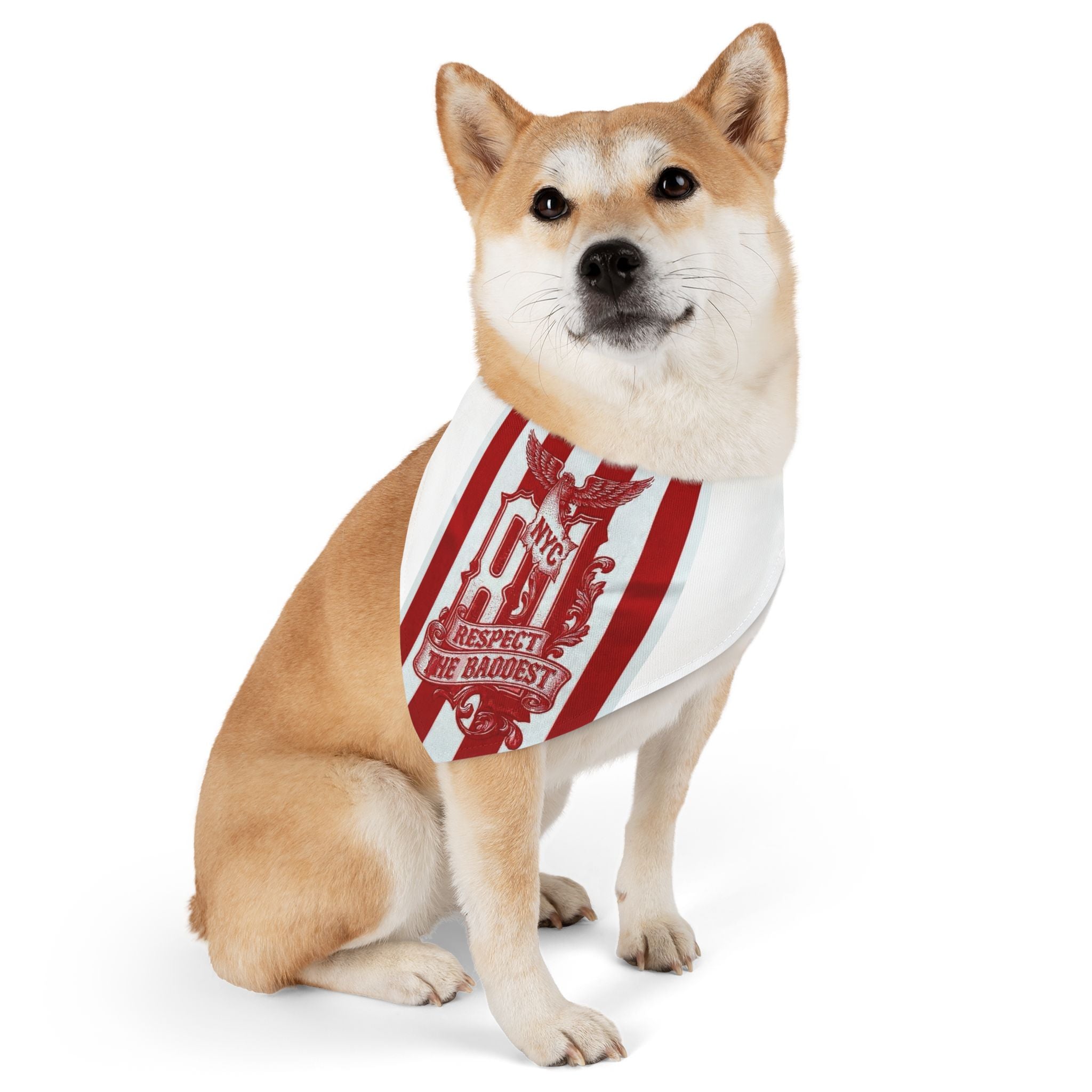 Pet Bandana Collar